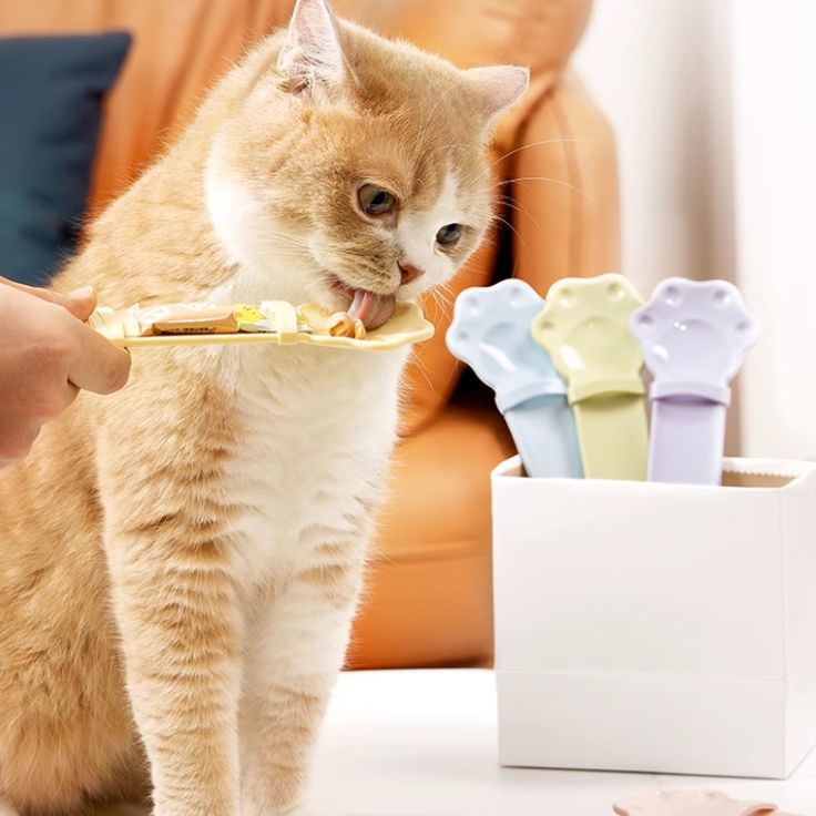No Mess Cat Wet Treat Pastel Feeding Spoon