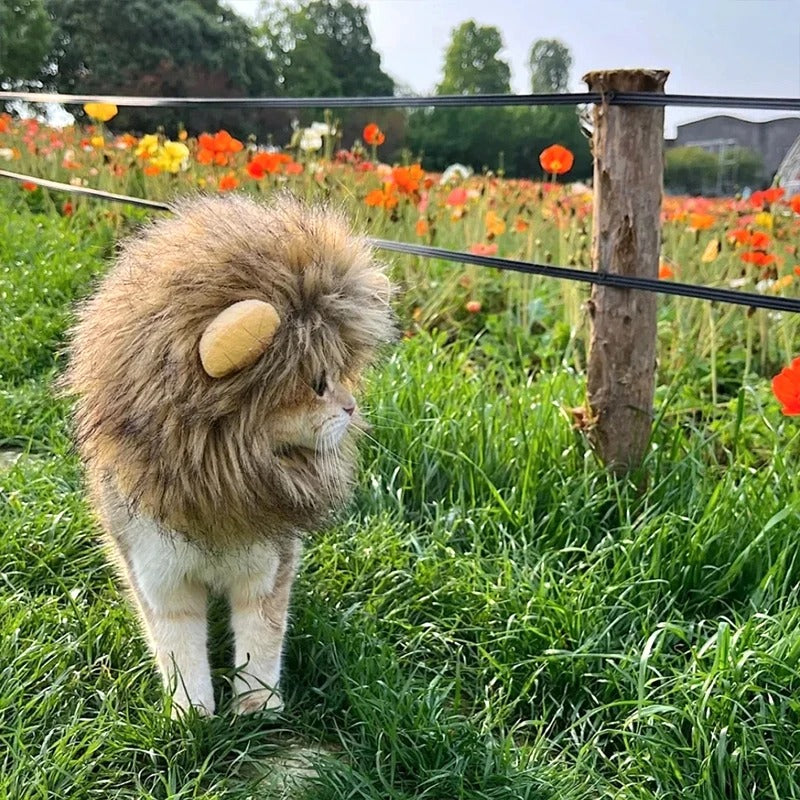 Cute Lion Mane Costume